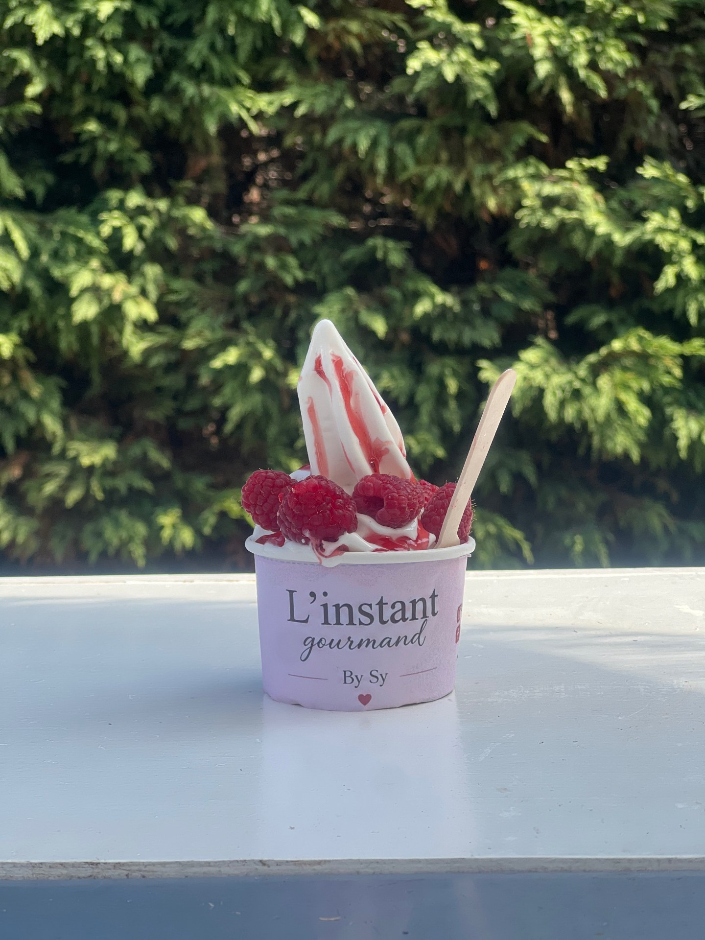 Pot de glace signature L'instant gourmand By Sy garni de framboises et de coulis